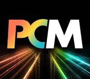 PCM Best of IT Awards 2024/25 mark